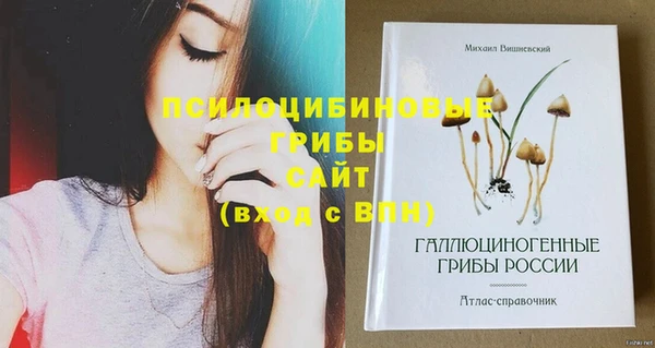 мяу мяу кристалл Михайлов