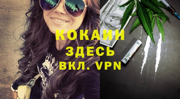 мяу мяу мука Михайловск