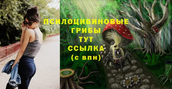 стаф Надым