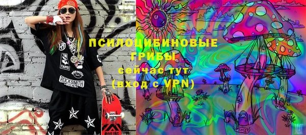 молекула духа Михайловка