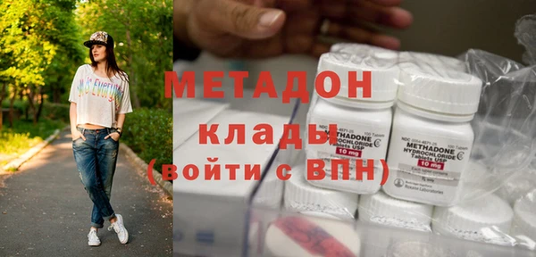 шишки Апатиты