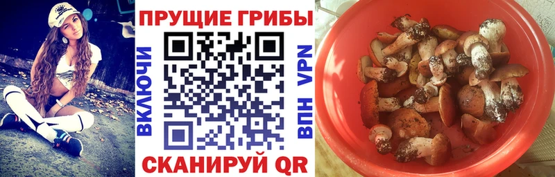 дарк нет состав Кудрово МЕГА маркетплейс Псилоцибиновые грибы MAGIC MUSHROOMS где купить наркоту