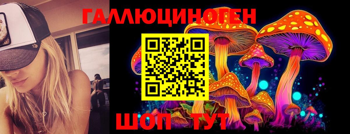 Псилоцибиновые грибы Cubensis Кудрово