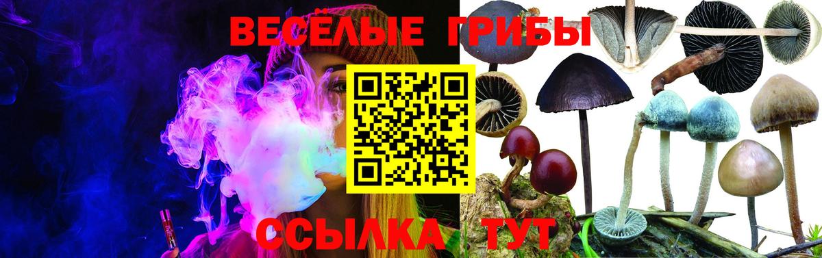 купить наркоту  Псилоцибиновые грибы Magic Shrooms  Галлюциногенные грибы мухоморы  Вход с VPN  Кудрово 